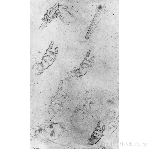 Лист с автопортретом и этюдами рук