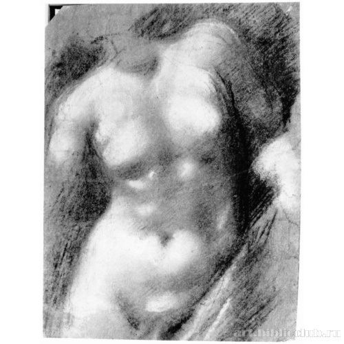 Торс обнаженной