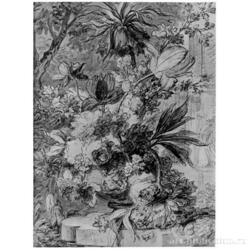 Этюд растений