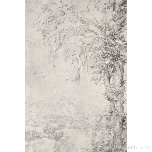 Далекий пейзаж с большим деревом на первом плане