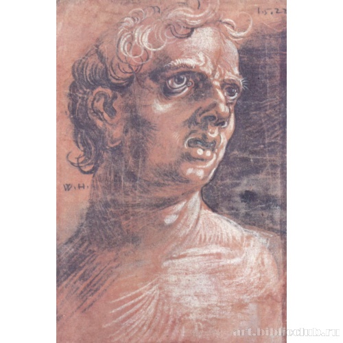 Голова молодого человека