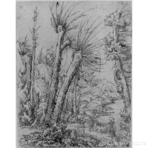 Пейзаж с ивами