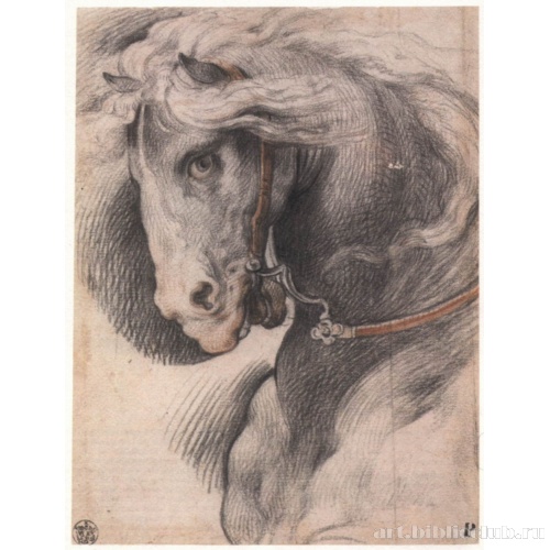 Голова лошади