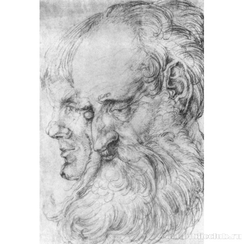 Две головы в профиль