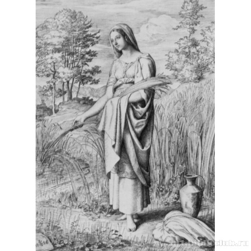 Руфь на поле Вооза