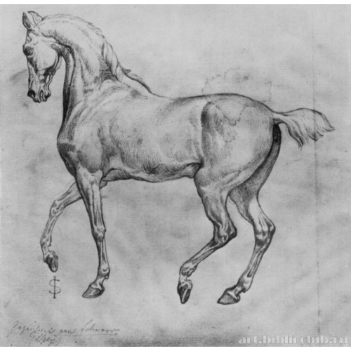 Гарцующая лошадь