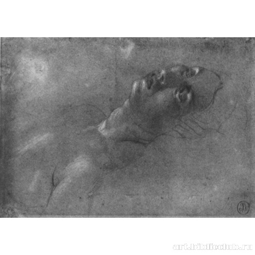 Этюд для головы Октавии