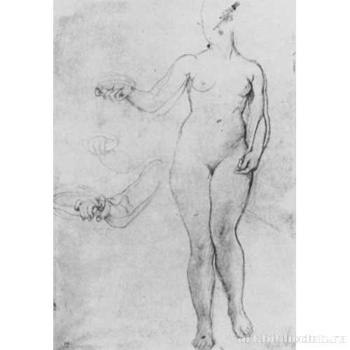 Этюд обнаженной