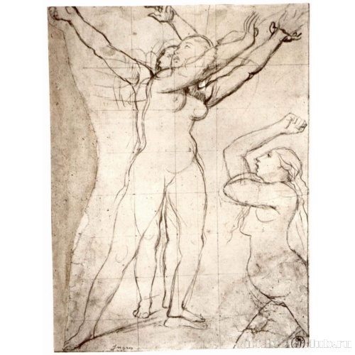 Этюды обнаженной женской фигуры