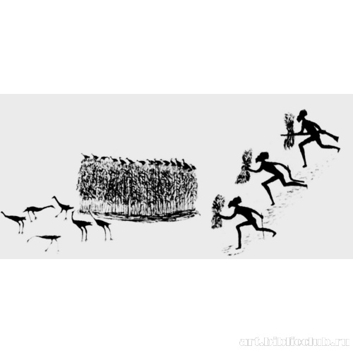 Охота на уток