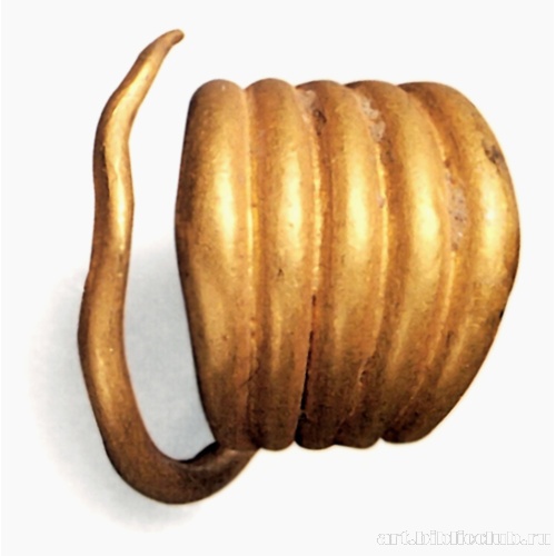 Височное кольцо пятидольчатое. Клад D