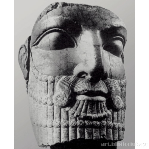 Голова царя, возможно, Дария I