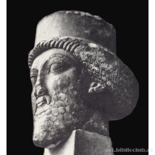 Мужская голова