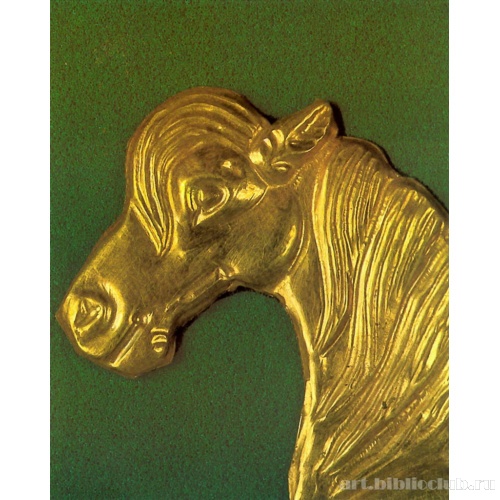 Лошадь. Бляха