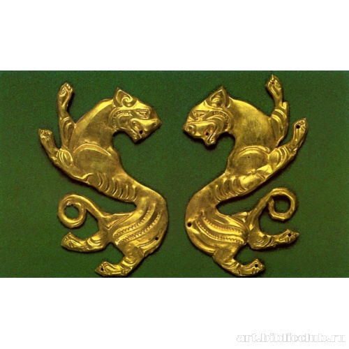 Барсы (тигры). Бляхи