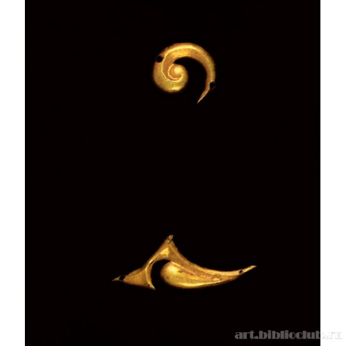 Пластины в виде когтя и клюва птицы