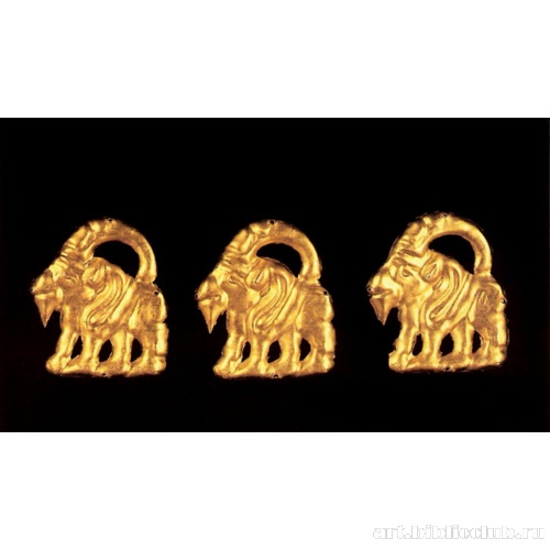 Козлы. Бляхи