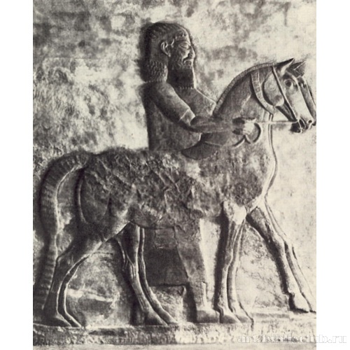 Воин, ведущий коня. Рельеф из дворца Саргона в Дуршуррукине