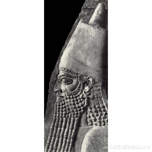 Царь Саргон II. Фрагмент рельефа из дворца в Дур-Шаррукине