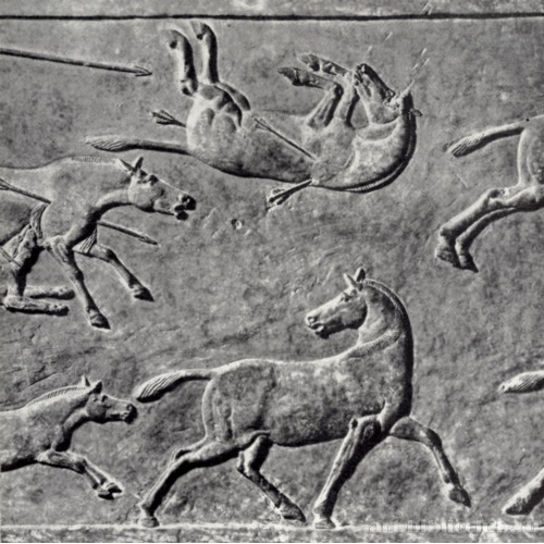 Рельеф из дворца Ашшурбанапала в Ниневии с охоты на онагров