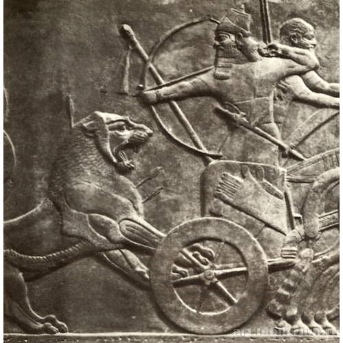Охота на львов. Фрагмент рельефа из дворца царя Ашшурнацирапала в Кальху