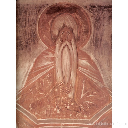 Столпник Алимпий