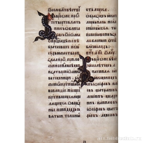 Лист Евангелия Кошки