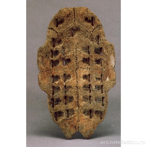 Черепаховые щитки для гаданий