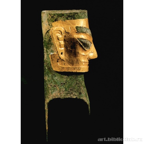 Голова мужчины в золотой маске