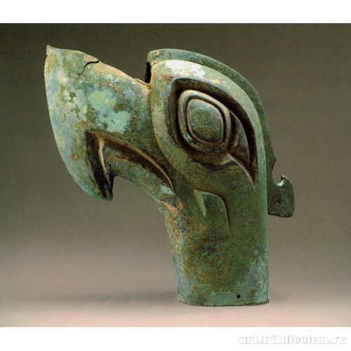 Голова хищной птицы