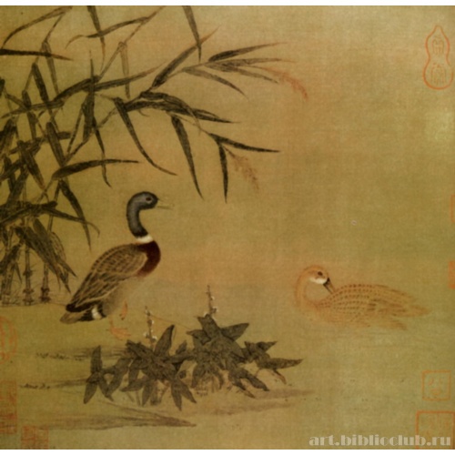 Дикие утки в камышах