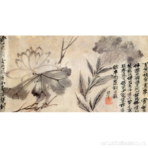 Цветы и растения