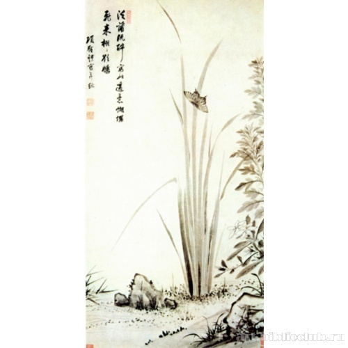 Камыши и бабочка