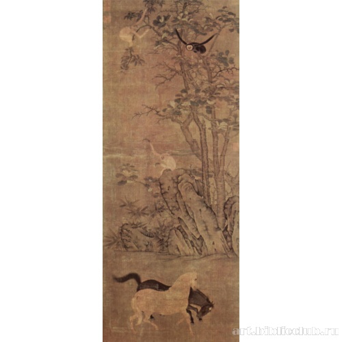 Обезьяны и лошади