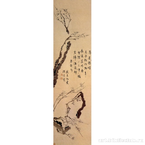 Цветущая слива