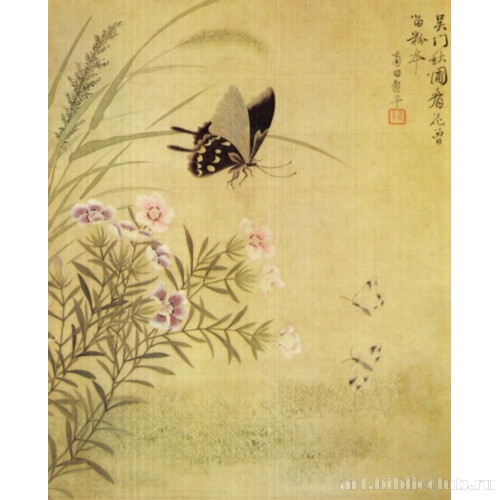 Куст гвоздики и три бабочки