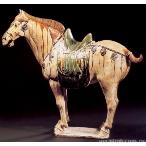 Верховая лошадь