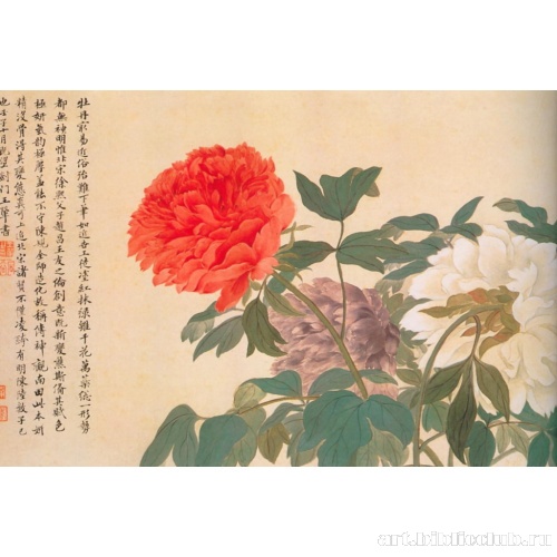 Пейзажи и цветы