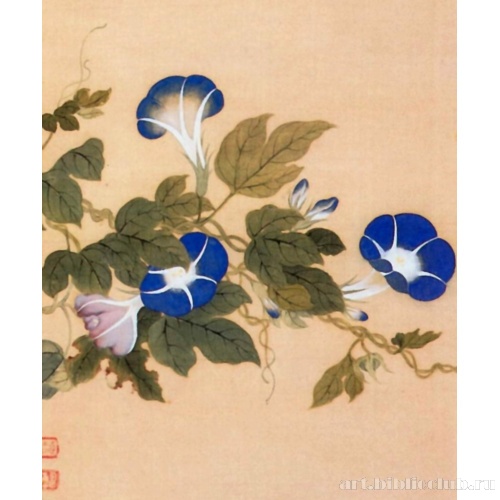 Альбом цветов (лист 1)