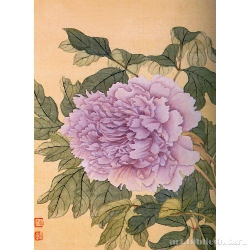 Альбом цветов (лист 2)