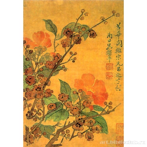 Цветущая слива и камелии