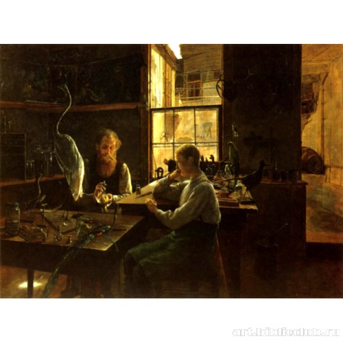 Таксидермист