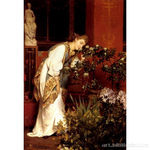 В перистиле