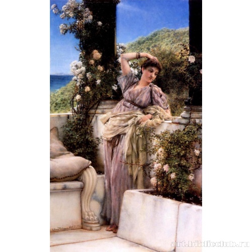 О ты, роза из роз