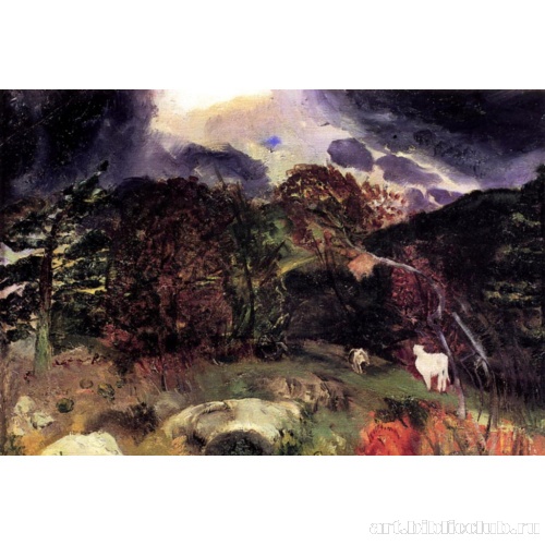 Дикое место