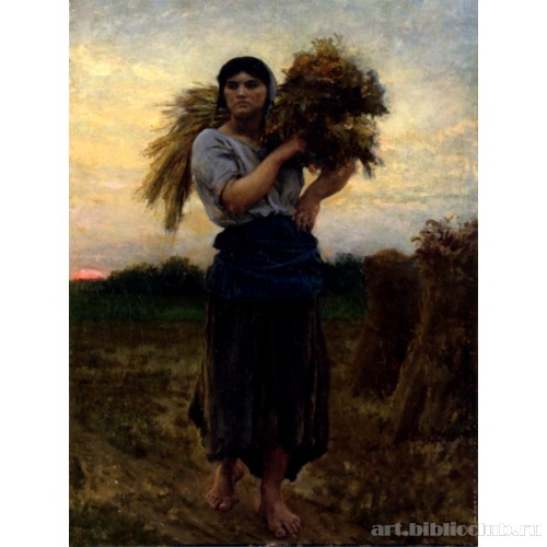 Вечером в поле