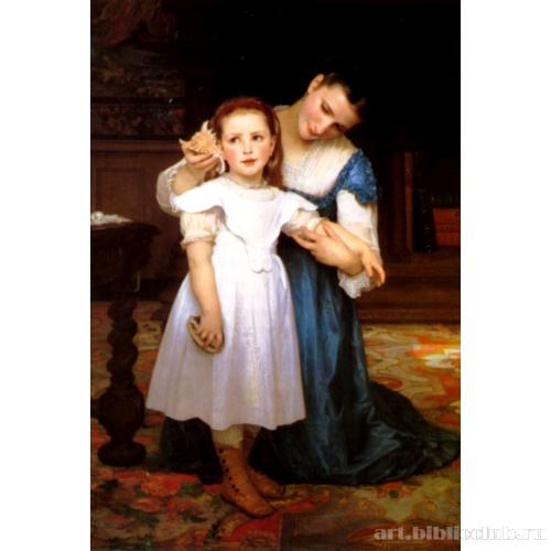 Морская раковина