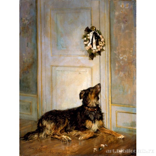 Собака в трауре