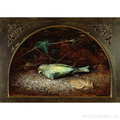 Мертвая птица