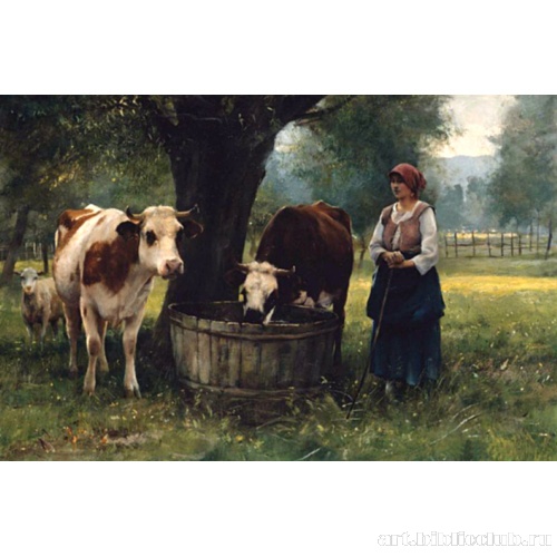 Девушка поит скот